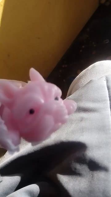 сквиш собаки смотреть онлайн