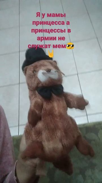 Я у мамы принцесса а принцессы в армии не служат урыл ваенкомат😎🤘✨🌟⭐ смотреть онлайн
