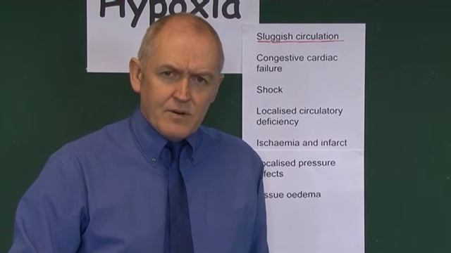 Hypoxia 12, Stagnant causes of hypoxia смотреть онлайн