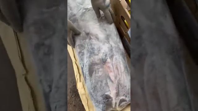 Кета без головы смотреть онлайн