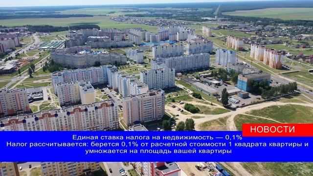 Информация налоговой инспекции смотреть онлайн