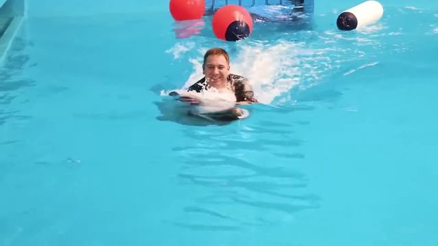 Swim with Dolphins in Dubai @Dubai Dophinarium смотреть онлайн