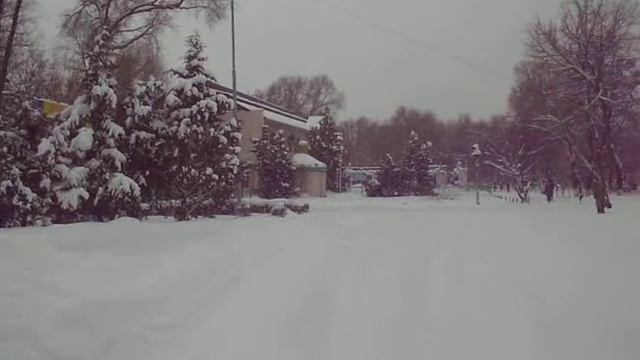 Тараз (Джамбул) Зимняя видео-панорама у бывшего Парка им. Ленина смотреть онлайн