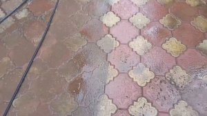 Удаление моха и  травы с тротуарной плитки