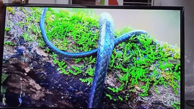MTS LED TV Picture Quality смотреть онлайн