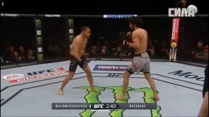 полный БОЙ ЗАБИТ МАГОМЕДШАРИПОВ - КАЙЛ БОЧНЯК