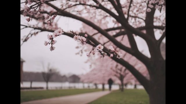 Вторая весна (cover) смотреть онлайн