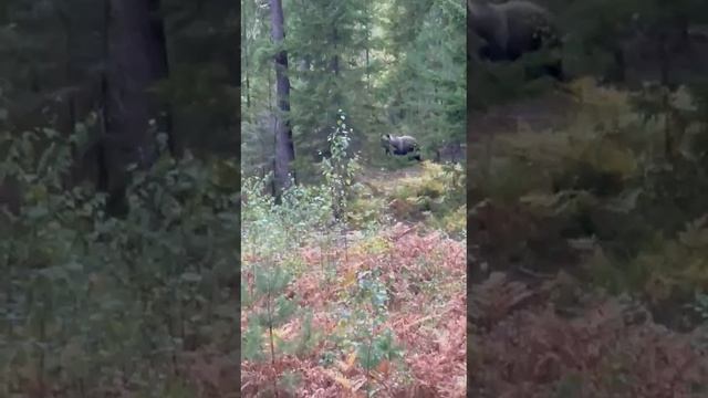 Нурлатском районе Татарстане смотреть онлайн