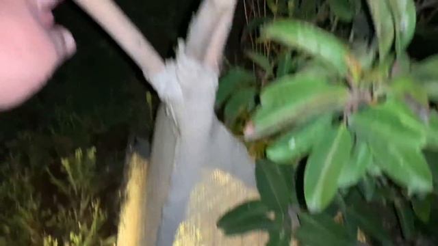 Оригинальный дизайн - из мешков и палок! смотреть онлайн