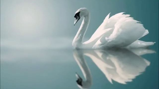 Klasika music 111 смотреть онлайн