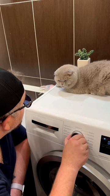 Король и шут исполнение на стиральной машине. Смотреть со звуком. #киш #корольишут #горшок #юмор смотреть онлайн