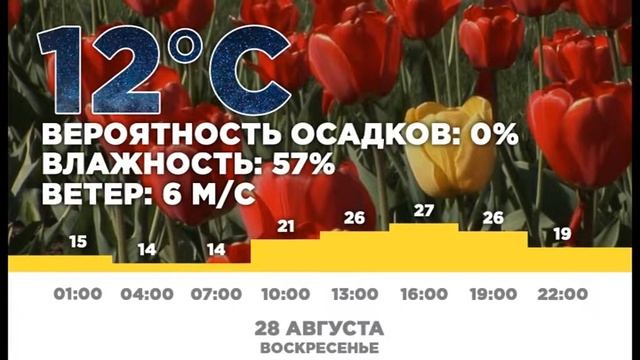 Погода на 28 08 смотреть онлайн