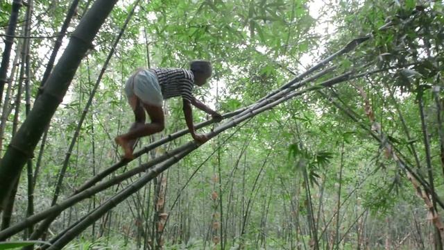 King Kong Gorilla Vs Anaconda Snake in Real Life HD Video / Gorilla attack in real life_ SOHAG FLIM смотреть онлайн