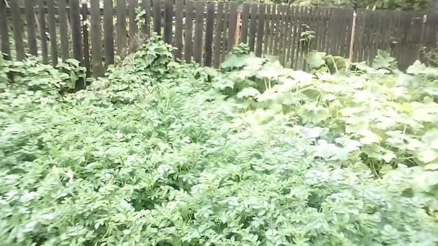 Славянск. 16.09.22. Утро смотреть онлайн