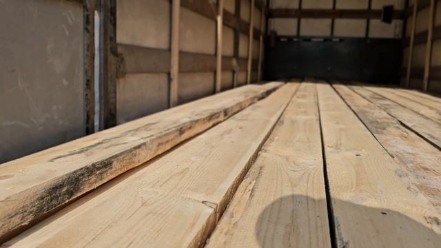 Звериные удивительные путешествия