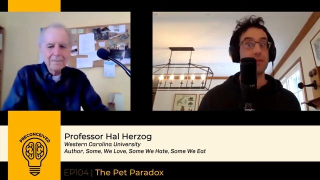 The Pet Paradox смотреть онлайн