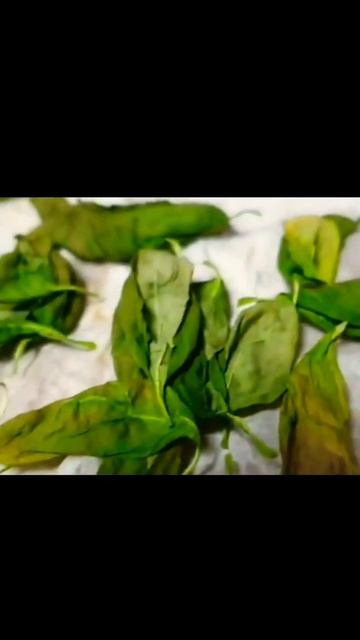 Drying Basil in microwave |||store it n use it....Ramadan preperations смотреть онлайн