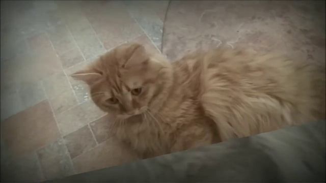 Рок музыка Швырка смотреть онлайн