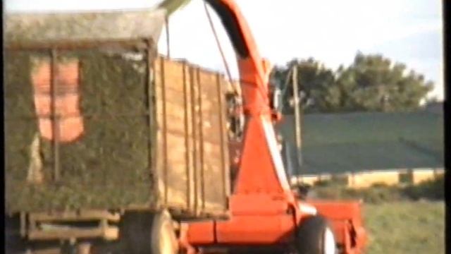 Massey Ferguson 2720 and JF 900 cutting silage in 1996 #throwbackthursdays смотреть онлайн