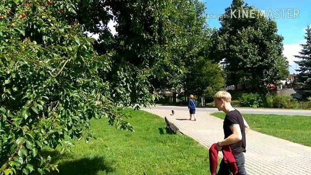 г. Пила ч 5 ( прогулка в парке,) смотреть онлайн
