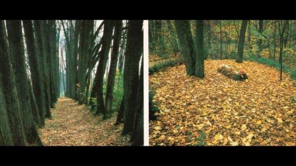 Ясная Поляна Льва Толстого. Yasnaya Polyana Leo Tolstoy.