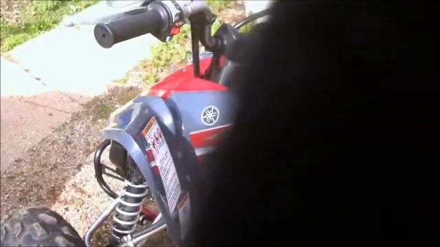 2008 Yamaha Raptor 250 Warm Start and Walk Around смотреть онлайн