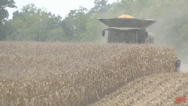 FENDT IDEAL 9T Combine Harvesting Corn