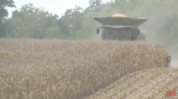FENDT IDEAL 9T Combine Harvesting Corn