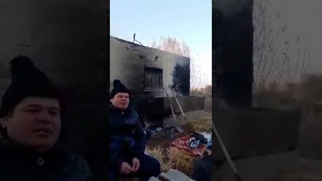 отдыхающих друзей на фермах смотреть онлайн