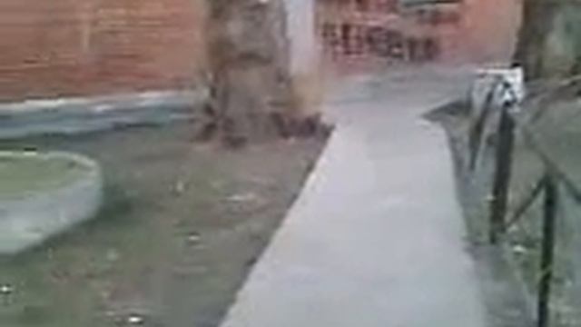 Видео000Raven Жора.3gp смотреть онлайн