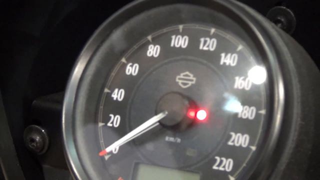 Harley-Davidson Iron 1200 Sportster Iron Black (2019) Exterior and Interior смотреть онлайн