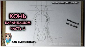 Как нарисовать голову лошади в анфас карандашом. Шаг за шагом.