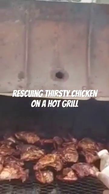 Rescuing Thirsty Chicken On A Hot Grill #shorts смотреть онлайн