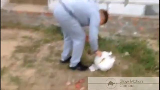 Что будет если обмотать арбуз и скинуть ??? смотреть онлайн