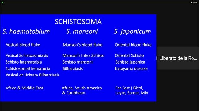 Introduction to Trematodes and Blood Flukes смотреть онлайн