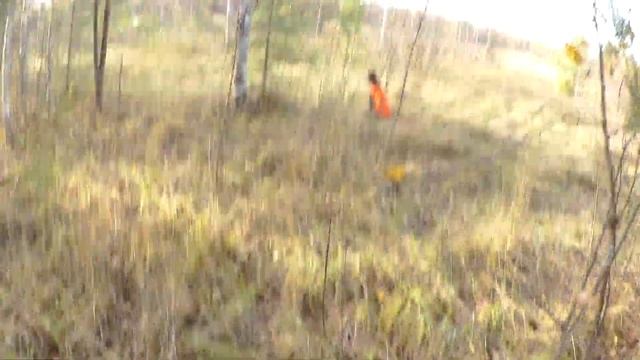 Woodcock 2018. Подранок смотреть онлайн