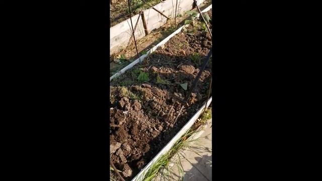 Инновационный культиватор, рыхлитель, аэоатор, рекламный ролик смотреть онлайн