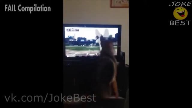Best shocking failures and fun 20152 смотреть онлайн