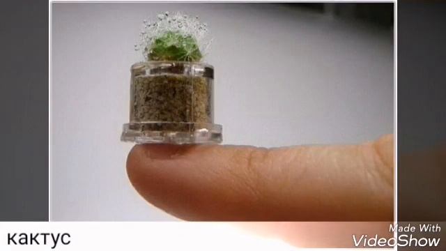 маленькие вещи смотреть онлайн