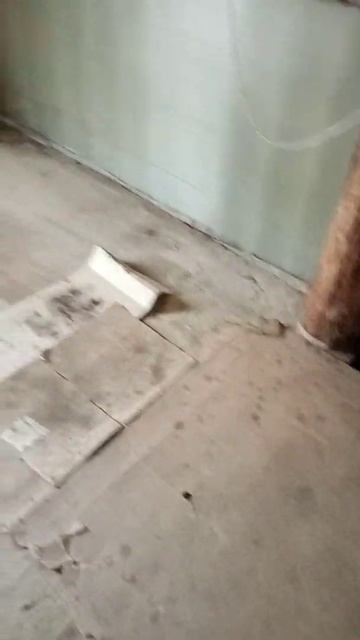 Подготовка под новый станок) смотреть онлайн