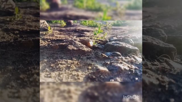 Муравей vs Комар смотреть онлайн