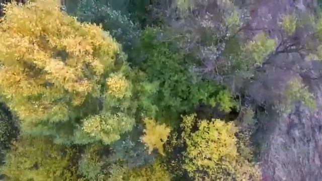 Дом странных звуков 2 серия смотреть онлайн