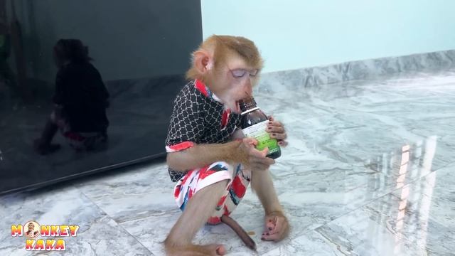Monkey Kaka's Regret: A Tale of Spilled Diem's cough syrup смотреть онлайн
