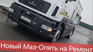 Новый МАЗ опять на РЕМОНТ/#малком выручает/ЗАБАСТОВКА дальнобойщиков/СРАВНИВАЕМ тягачи по доходам