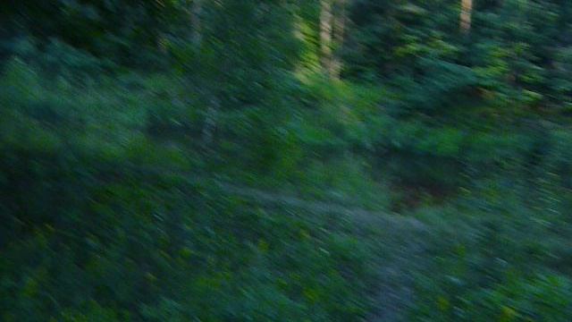 Отдыхаем на природе P1070670