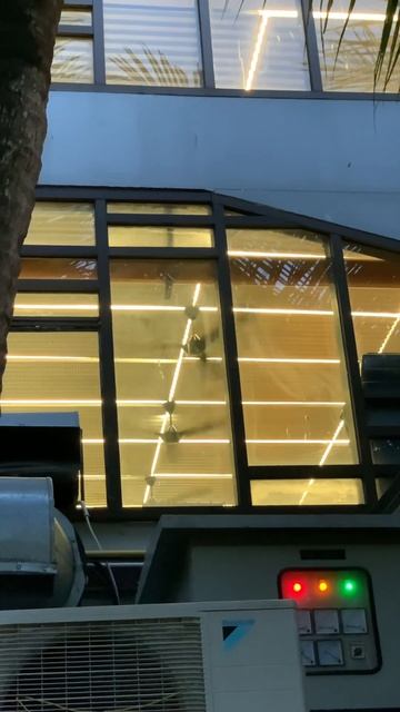 4 Black Panasonic F-EY1511s | #shorts смотреть онлайн