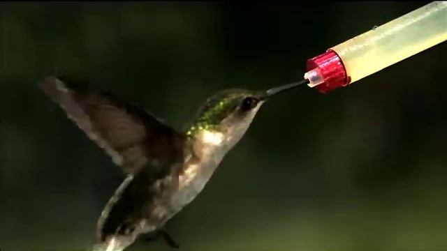 Arcade Fire - The Well and the Lighthouse смотреть онлайн