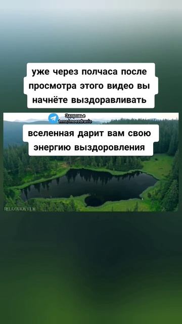 уже через полчаса после просмотра этого видео вы начнёте выздоравливать #здоровье #зож смотреть онлайн