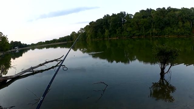 Realistic Bass Fishing from the Bank with a PowerBait Pit Boss смотреть онлайн