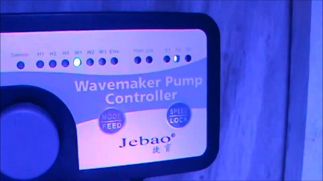 Jebao Pump and New Leds смотреть онлайн